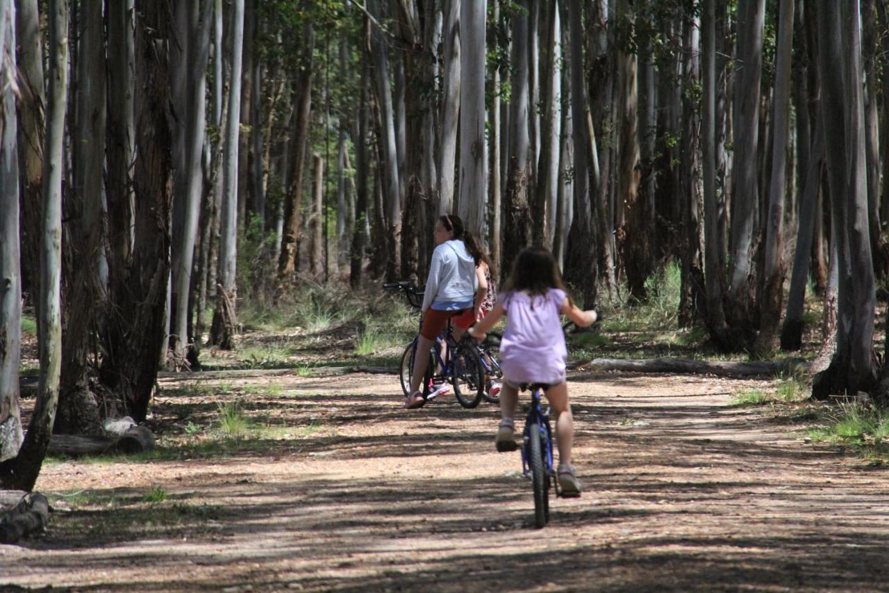La Reserva De Federación Buitenkant foto